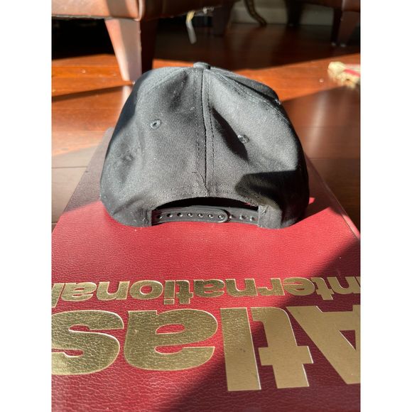 Juneshine Hard Kombucha Snapback Hat - Picture 2 of 2